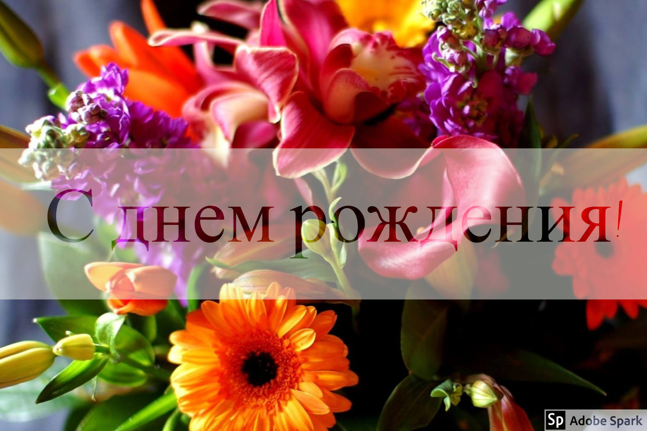 С днем рождения! С днем рождения!