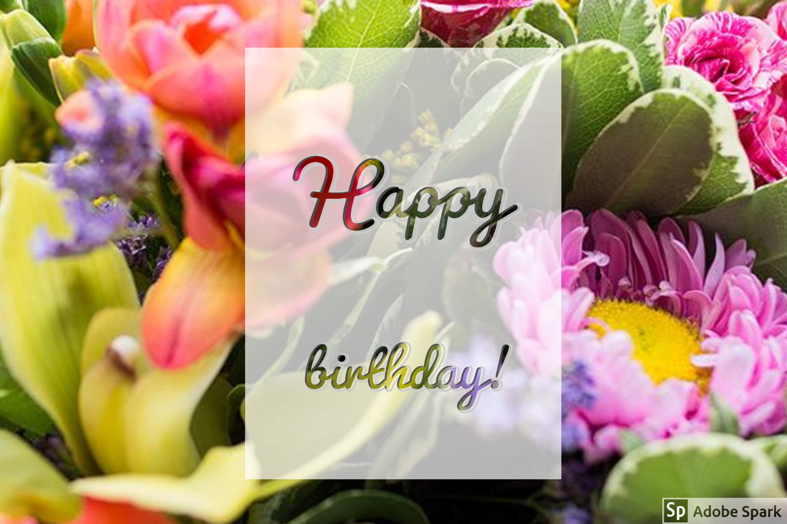 Happy Birthday! Happy Birthday!